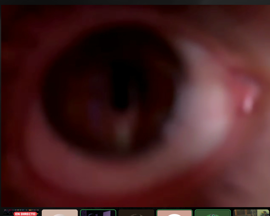 Captura de pantalla 2025-08-25 000543.png